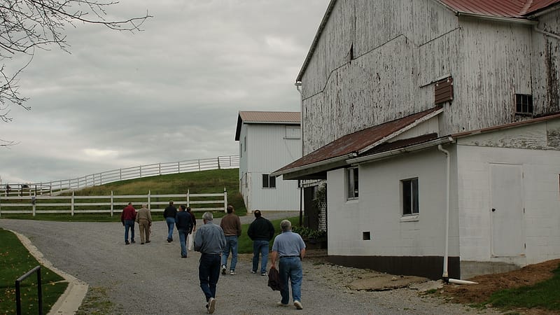 A wooden gate open onto a pumpkin field, with hay bales stacked beside a gravel parking area and a barn behind.