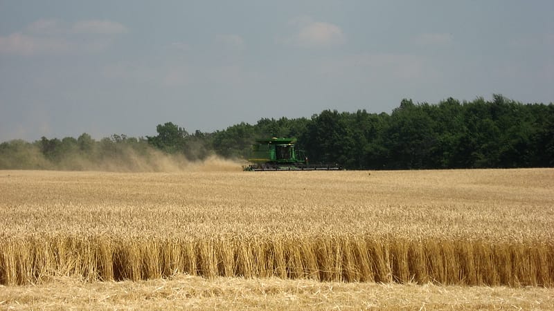 A grain cart beside a combine at the edge of a harvested field, with a pickup truck parked on the headland.