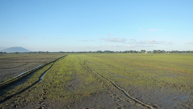 A concrete lined canal running beside a gravel road with a metal gate wheel and a small pump house in the distance.