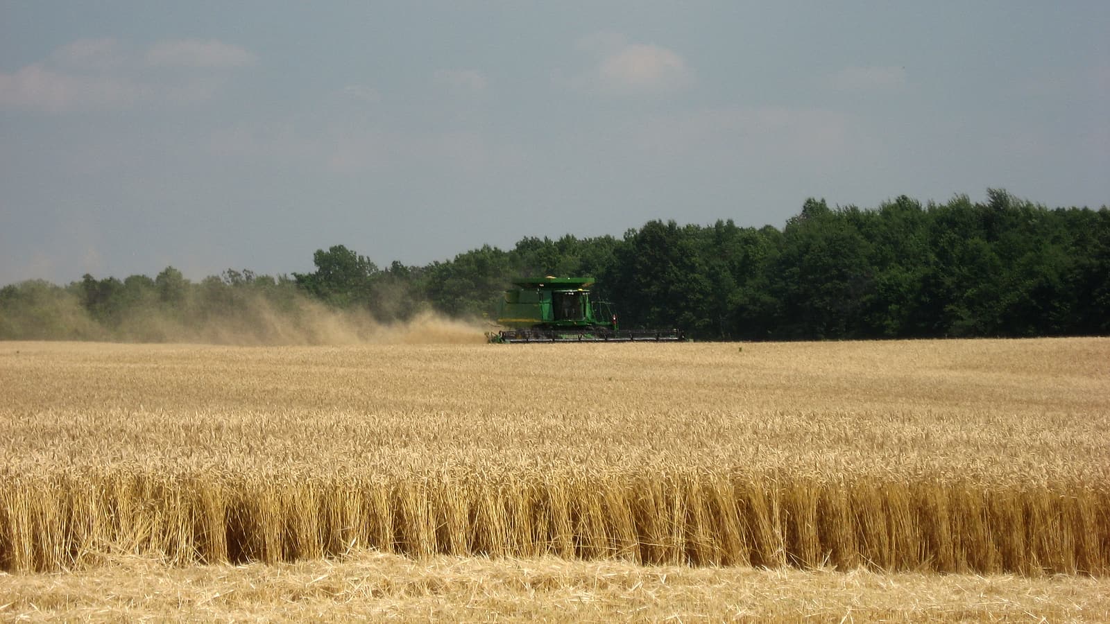 A grain cart beside a combine at the edge of a harvested field, with a pickup truck parked on the headland.