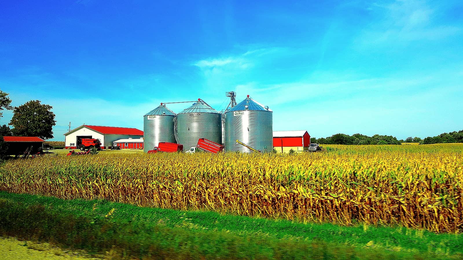 A row of concrete grain silos beside a rail spur, with a truck scale and a small office building in the foreground.