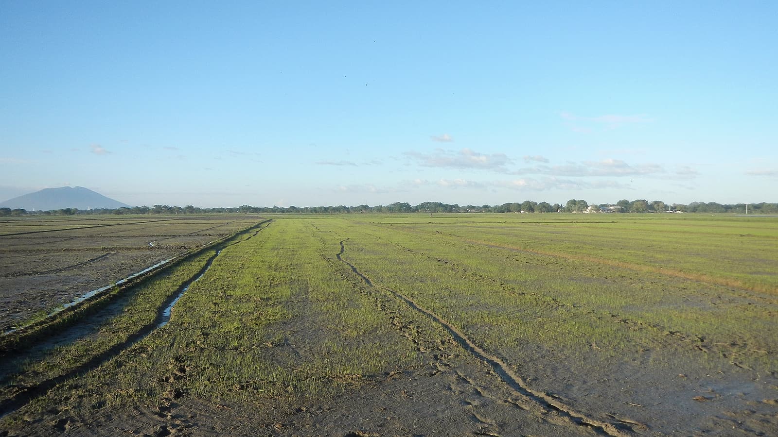 A concrete lined canal running beside a gravel road with a metal gate wheel and a small pump house in the distance.